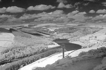 An infrared photograph