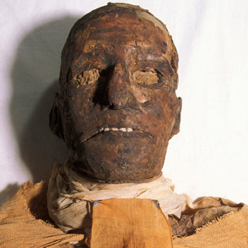 The mummy of Rameses III. What appears to be a cravat in fact hides the wound in his throat which killed him.