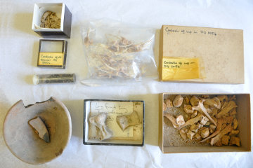 Some of the finds