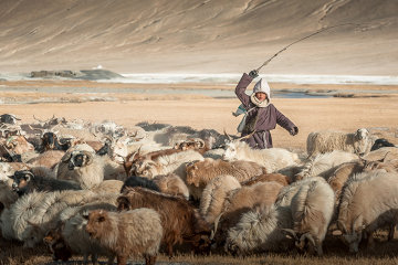 An Indian shepherd