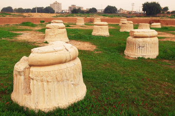 Pillar bases in Susa