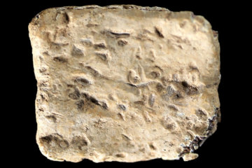 Curse tablet from Shechem
