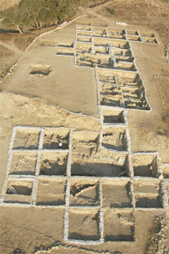 The excavated area on the summit of Tel es-Safi, neatly divided into squares.