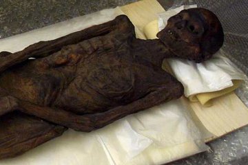 Manchester Mummy.